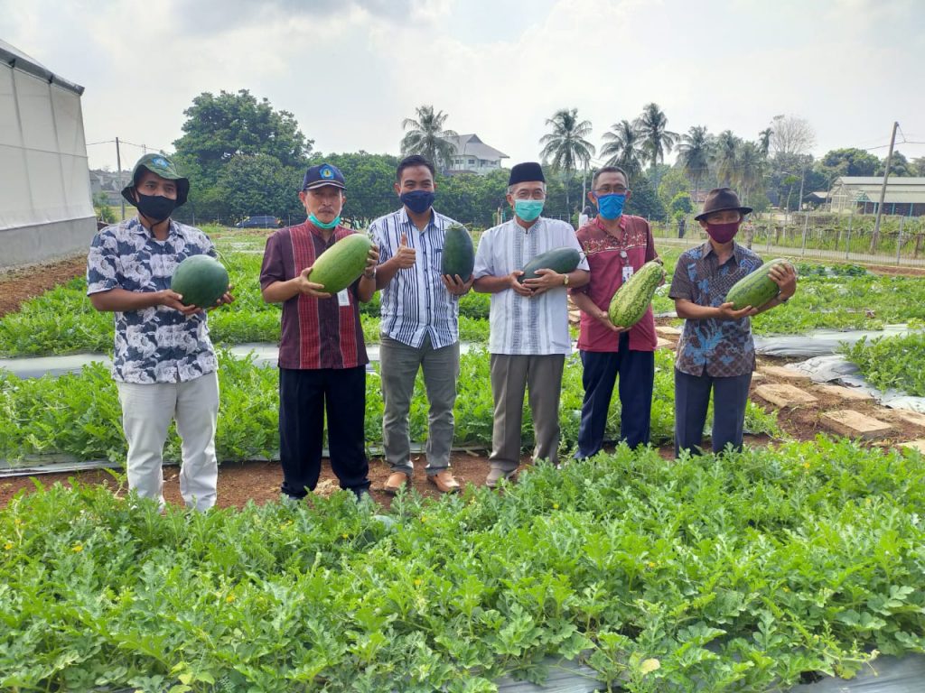 Kunjungan Direksi, Polinela Dukung Pelepasan 14 Varietas Baru  Teknologi Perbenihan